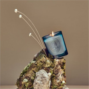 VELA PERFUMADA MUSGO DE CARVALHO 190GR  - LINHA ARABESC