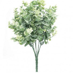 Eucalipto Permanente