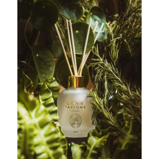 DIFUSOR DE PERFUME ALECRIM MEDITERRANEO - 200ML - Linha Arabesc