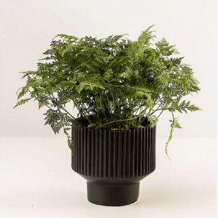 Vaso Ceramica Preto com Base 15cm