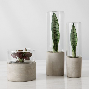 Vaso em Concreto e Vidro Transparente