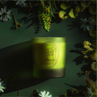 Vela Perfumada Flor de Laranjeira  - 190g - Linha Arabesc